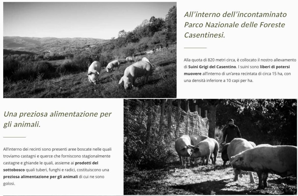 vallolmo allevamenti casentino