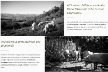 vallolmo allevamenti casentino