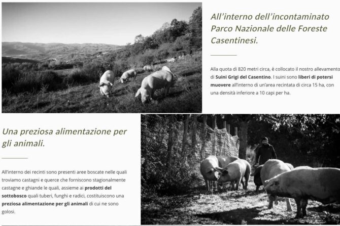 vallolmo allevamenti casentino