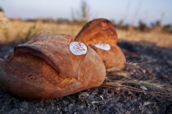 pane di altamura dop