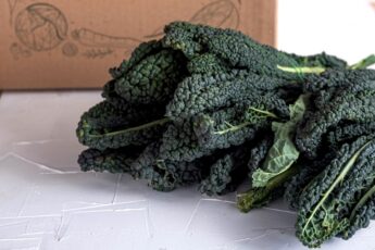 cavolo nero ricetta ribollita toscana