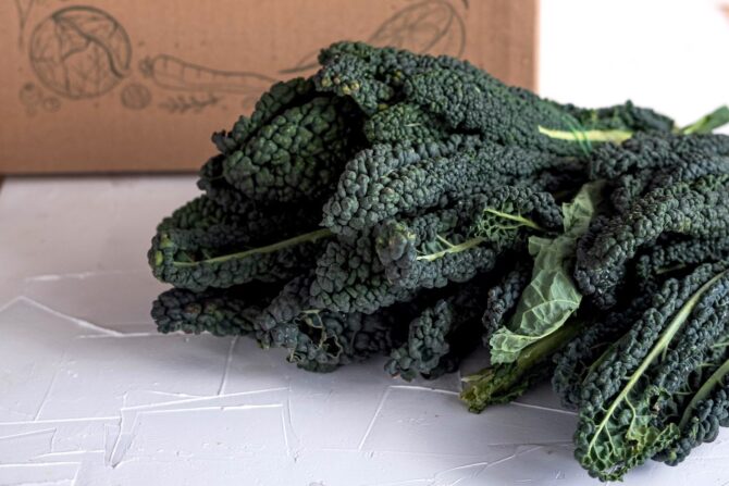 cavolo nero ricetta ribollita toscana