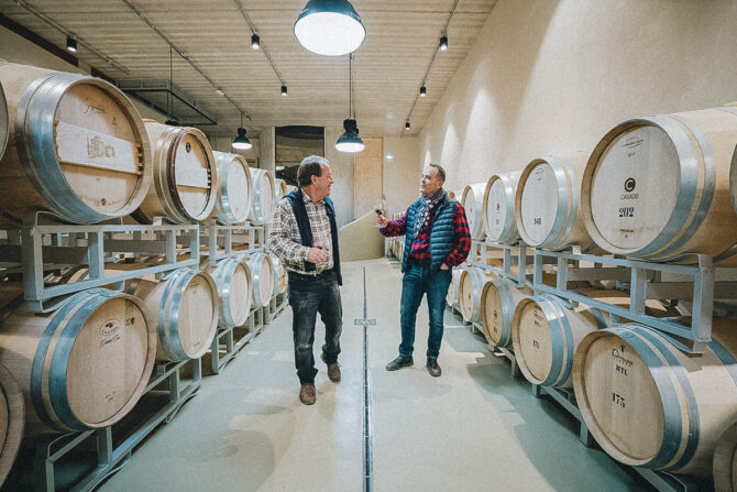 vino organico stefano casadei fred cline