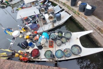 barche pescatori viareggio mangiare