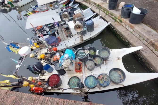 barche pescatori viareggio mangiare