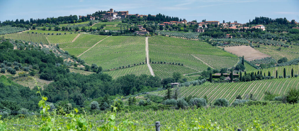 panzano chianti vista paese