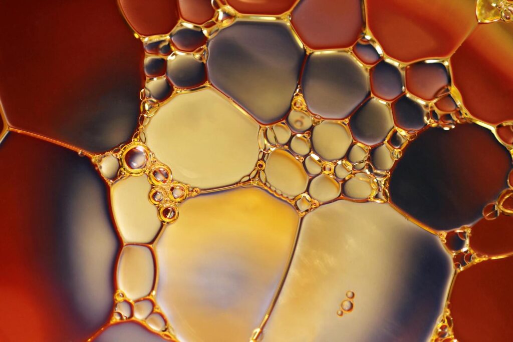 ricette olio cbd in cucina