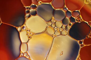 ricette olio cbd in cucina