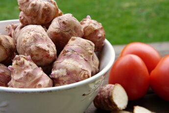 superfood proprietà topinambur
